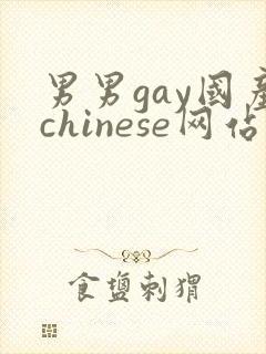 男男gay国产chinese网站