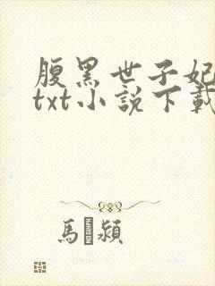 腹黑世子妃日常txt小说下载