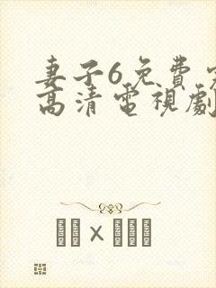 妻子6免费完整高清电视剧在线观看