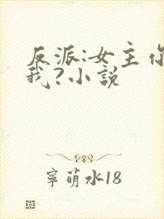 反派:女主你搞我?小说