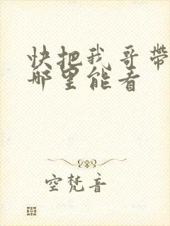 快把我哥带走在哪里能看封面