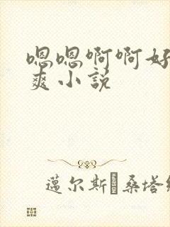 嗯嗯啊啊好大好爽小说