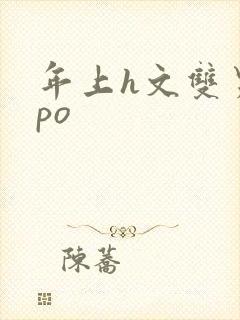 年上h文双男主po封面