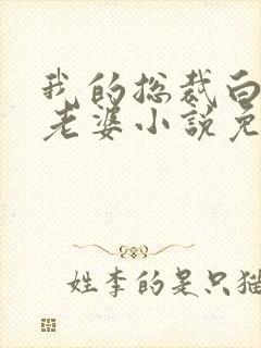 我的总裁白富美老婆小说免费