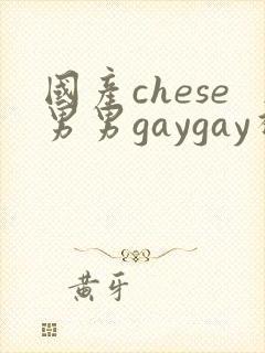 国产chese男男gaygay视频网站