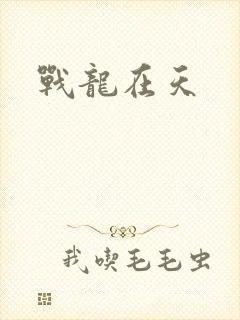 战龙在天封面