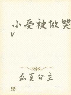 小受被做哭的gv封面