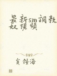 最新sm调教男奴视频