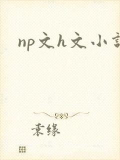 np文h文小说
