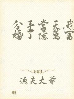 分手当天,我闪婚了亿万富豪在线小说
