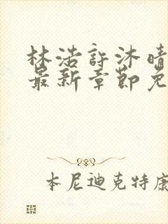 林浩许沐晴小说最新章节免费阅读全文