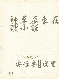 神墓辰东在线阅读小说封面