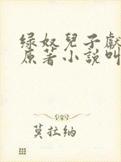 绿奴儿子献大宇原著小说叫什么名字封面