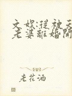 文娱:从被天后老婆离婚开始在线阅读小说封面