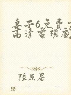 妻子6免费完整高清电视剧看