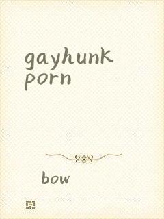 gayhunkporn封面