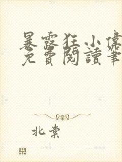 暴露狂小伟全文免费阅读笔趣阁