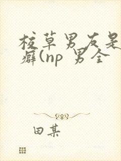 校草男友是绿帽癖(np 男全封面