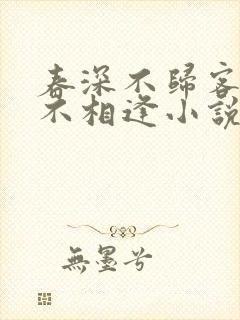 春深不归客清梦不相逢小说结局