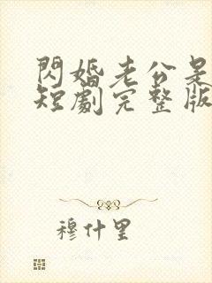 闪婚老公是总裁短剧完整版免费看