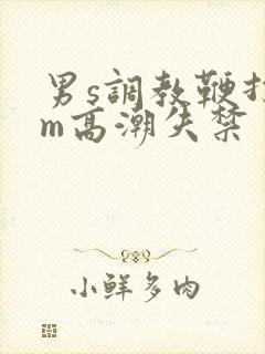 男s调教鞭打男m高潮失禁
