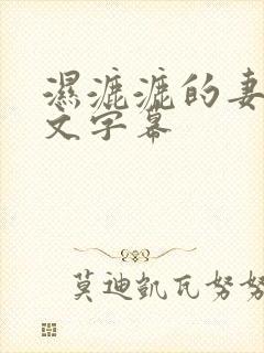 湿漉漉的妻子中文字幕