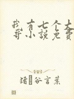 我有七个大佬哥哥小说免费下载封面