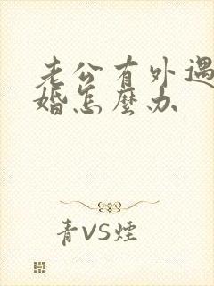 老公有外遇要离婚怎么办