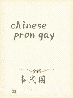 chinese pron gay