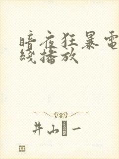 暗夜狂暴电影在线播放封面