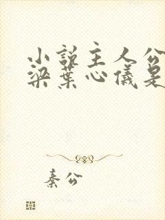 小说主人公叫乔梁叶心仪是什么小说
