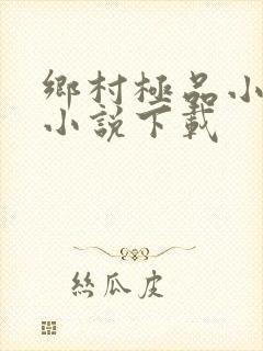 乡村极品小神医小说下载