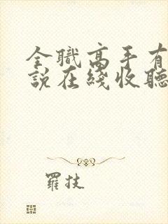 全职高手有声小说在线收听
