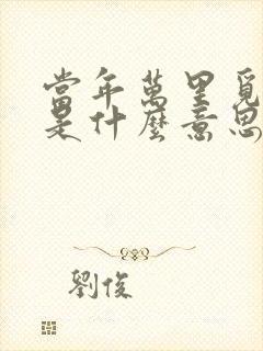 当年万里觅封侯是什么意思