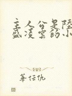 主人公是陆羽和盛凌云的小说红途
