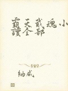 霸天武魂小说阅读全部