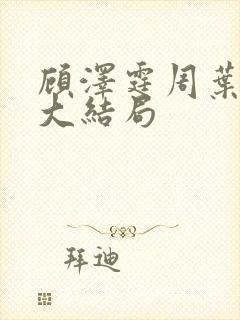 顾泽霆周叶番外大结局