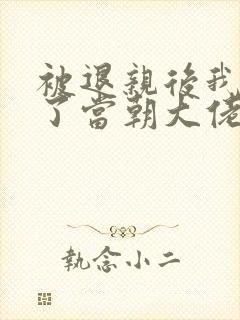 被退亲后我嫁给了当朝大佬 小说