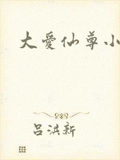 大爱仙尊小说封面