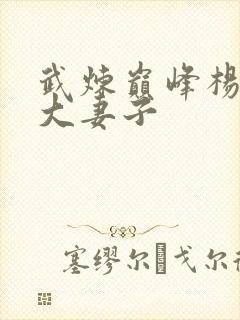 武炼巅峰杨开9大妻子封面