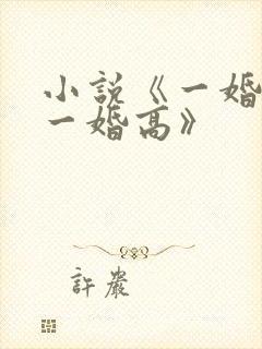 小说《一婚还比一婚高》