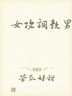 女攻调教男受
