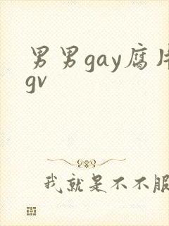 男男gay腐片gv