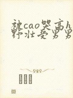 被cao哭高h野壮受男男小说封面