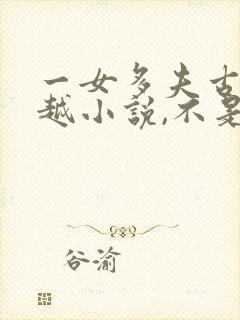 一女多夫古代穿越小说,不是女尊妖