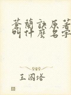 苍兰诀原著小说叫什么名字