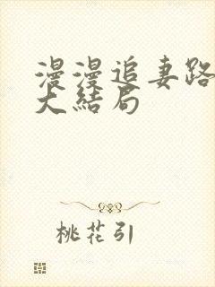 漫漫追妻路短剧大结局