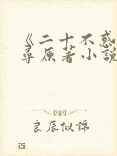 《二十不惑》周寻原著小说封面