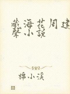 藏海花周建龙有声小说封面