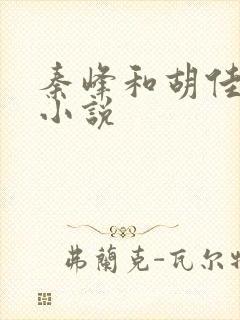 秦峰和胡佳芸的小说